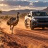 An emu running fast on a dusty dirt road next to a Holden Colorado pickup truck in the Australian outback